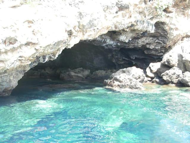 Appartamento Al Centro Di Ustica Isola di Ustica Bagian luar foto
